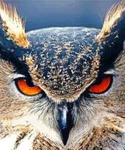 The Angry Owl Diamond Painting