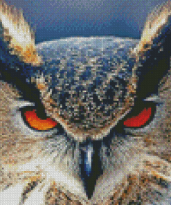 The Angry Owl Diamond Painting