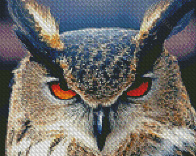 The Angry Owl Diamond Painting