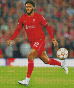 The Player Joe Gomez Diamond Painting