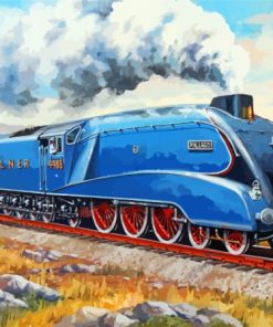 Vintage Mallard Train Diamond Painting