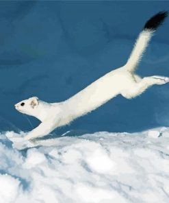 White Ermine In Snow Diamond Painting