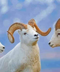 White Wild Bighorn Sheeps Diamond Painting