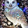 White Owl Diamond Painting