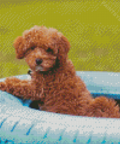 Whoodle Puppy In Tire Diamond Painting