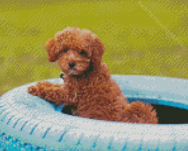 Whoodle Puppy In Tire Diamond Painting