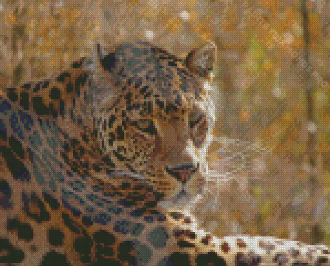 Wild Leopard Diamond Painting