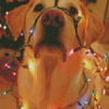 Yellow Lab With Colorful Christmas Lights Diamond Painting