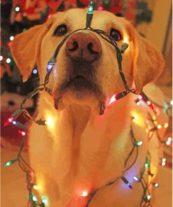 Yellow Lab With Colorful Christmas Lights Diamond Painting