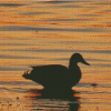 Aesthetic Duck Sunset Diamond Painting