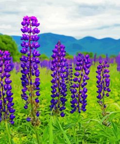 Aesthetic Lupines Field Nature Diamond Painting