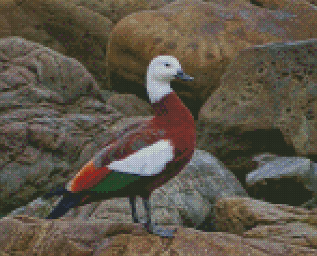 Aesthetic Paradise Shelduck Diamond Painting