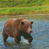 Bear Walking In Water Diamond Painting