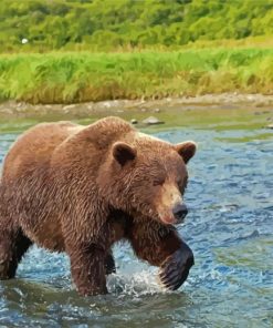 Bear Walking In Water Diamond Painting