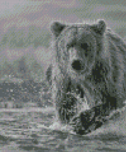 Black And White Bear Wildlife Diamond Painting