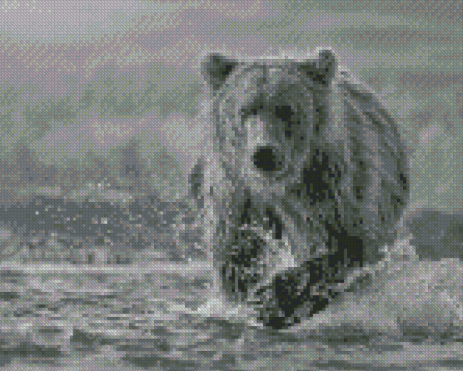 Black And White Bear Wildlife Diamond Painting