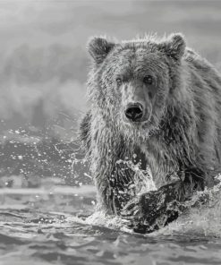 Black And White Bear Wildlife Diamond Painting