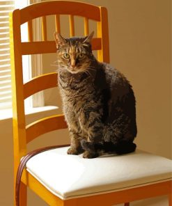 Cat On Wooden Chair Diamond Painting