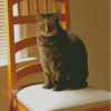 Cat On Wooden Chair Diamond Painting