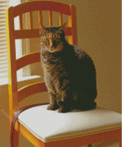 Cat On Wooden Chair Diamond Painting