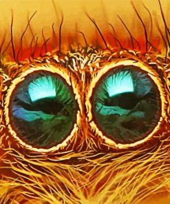 Close Up Spider Eye Diamond Painting