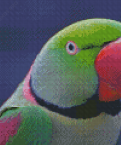 Close Up Alexandrine Parakeet Diamond Painting