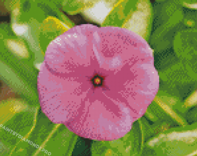 Close Up Pink Periwinkle Flower Diamond Painting