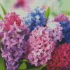 Colorful Hyacinth Flowers Diamond Painting