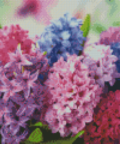 Colorful Hyacinth Flowers Diamond Painting