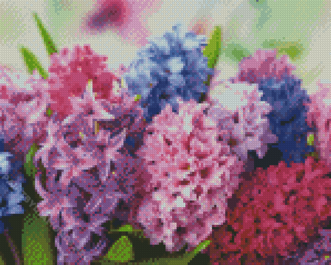 Colorful Hyacinth Flowers Diamond Painting