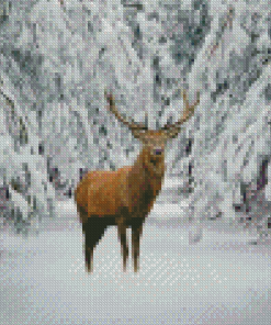 Deer In The Snow Diamond Painting