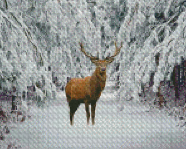 Deer In The Snow Diamond Painting