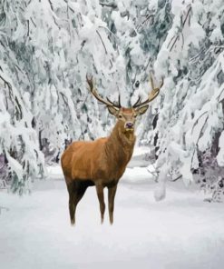 Deer In The Snow Diamond Painting