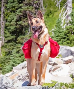 Dog Hiking Diamond Painting