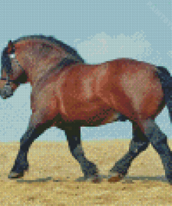 Draft Horse Diamond Painting