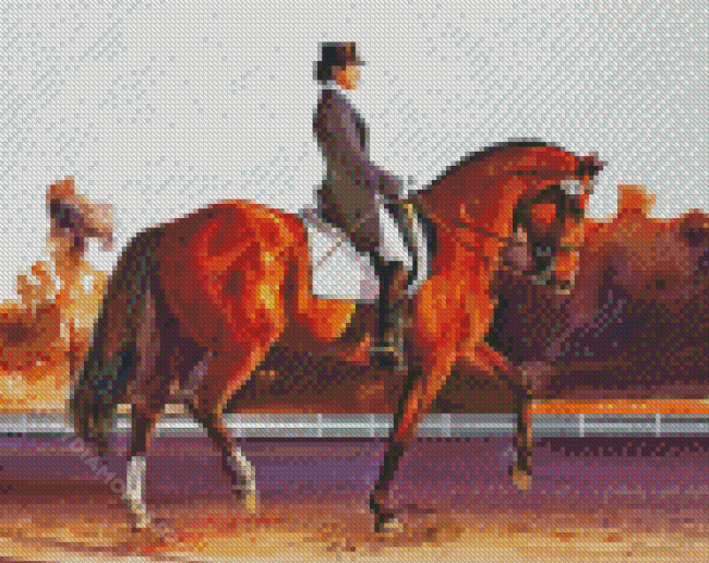 Dressage Horse Show Diamond Painting