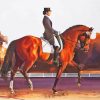 Dressage Horse Show Diamond Painting