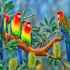 Eastern Rosella Birds Art Diamond Painting