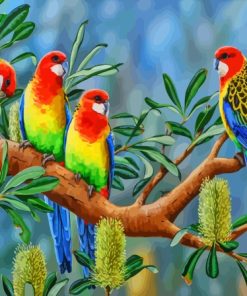 Eastern Rosella Birds Art Diamond Painting