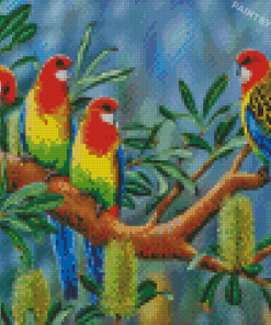 Eastern Rosella Birds Art Diamond Painting