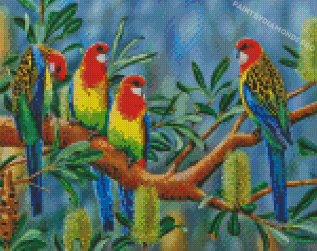 Eastern Rosella Birds Art Diamond Painting