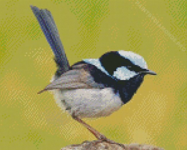 Fairy Wren Bird Diamond Painting