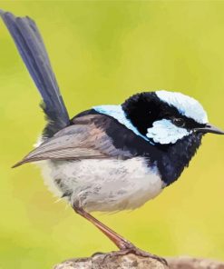 Fairy Wren Bird Diamond Painting