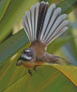 Fantail Diamond Painting