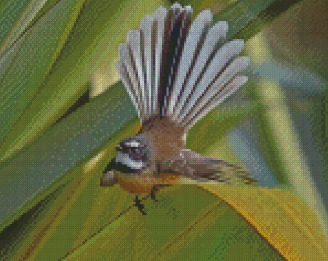 Fantail Diamond Painting