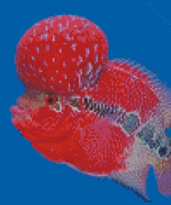 Flowerhorn Fish Diamond Painting