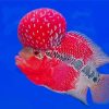 Flowerhorn Fish Diamond Painting