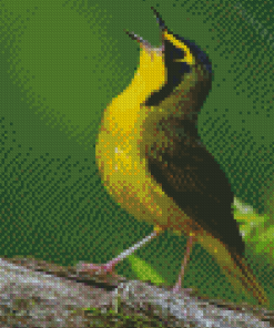 Kentucky Warbler Yellow Bird Diamond Painting