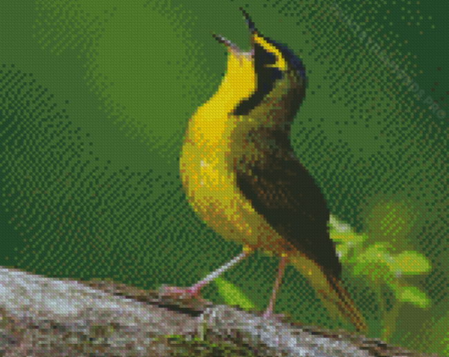 Kentucky Warbler Yellow Bird Diamond Painting