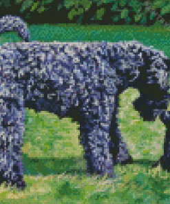 Kerry Blue Terrier Diamond Painting